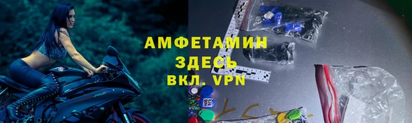 стафф Арсеньев