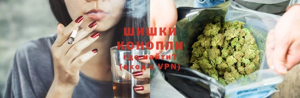 сатива Аркадак