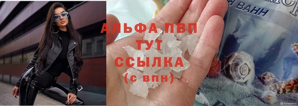 сатива Аркадак