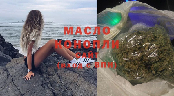 сатива Аркадак