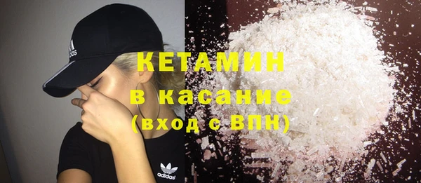 сатива Аркадак