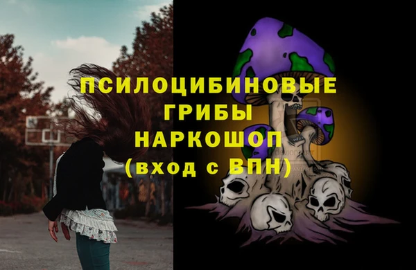 сатива Аркадак