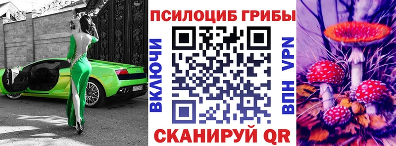 где купить наркотик  MEGA вход  Галлюциногенные грибы мицелий  Краснодар 